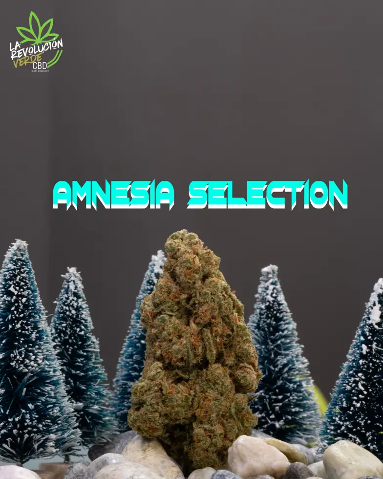 Amnesia Selection