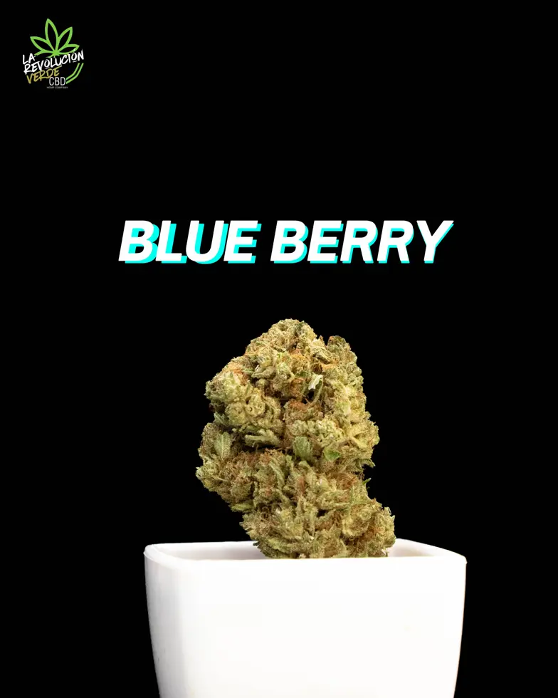 Blueberry