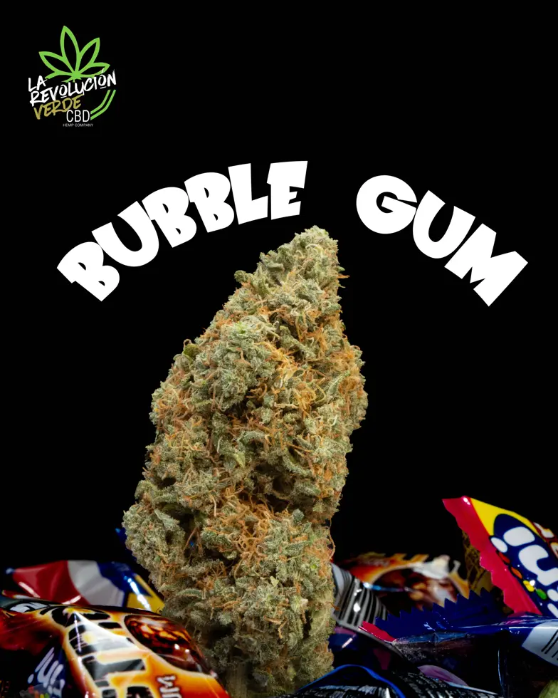 Bubble Gum