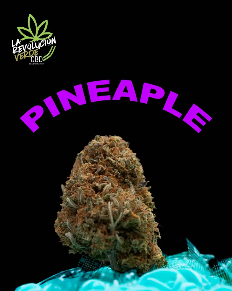 Pineapple