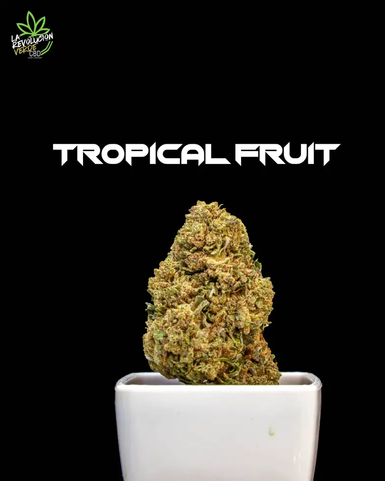 Tropical Fruit
