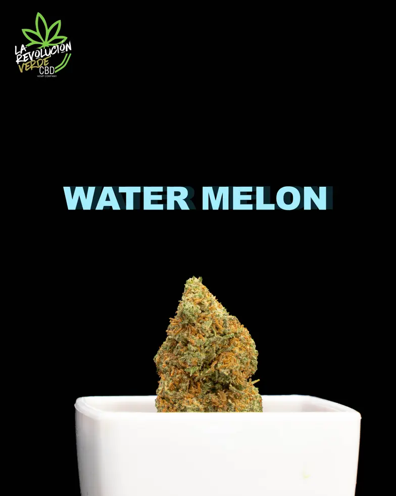 Watermelon