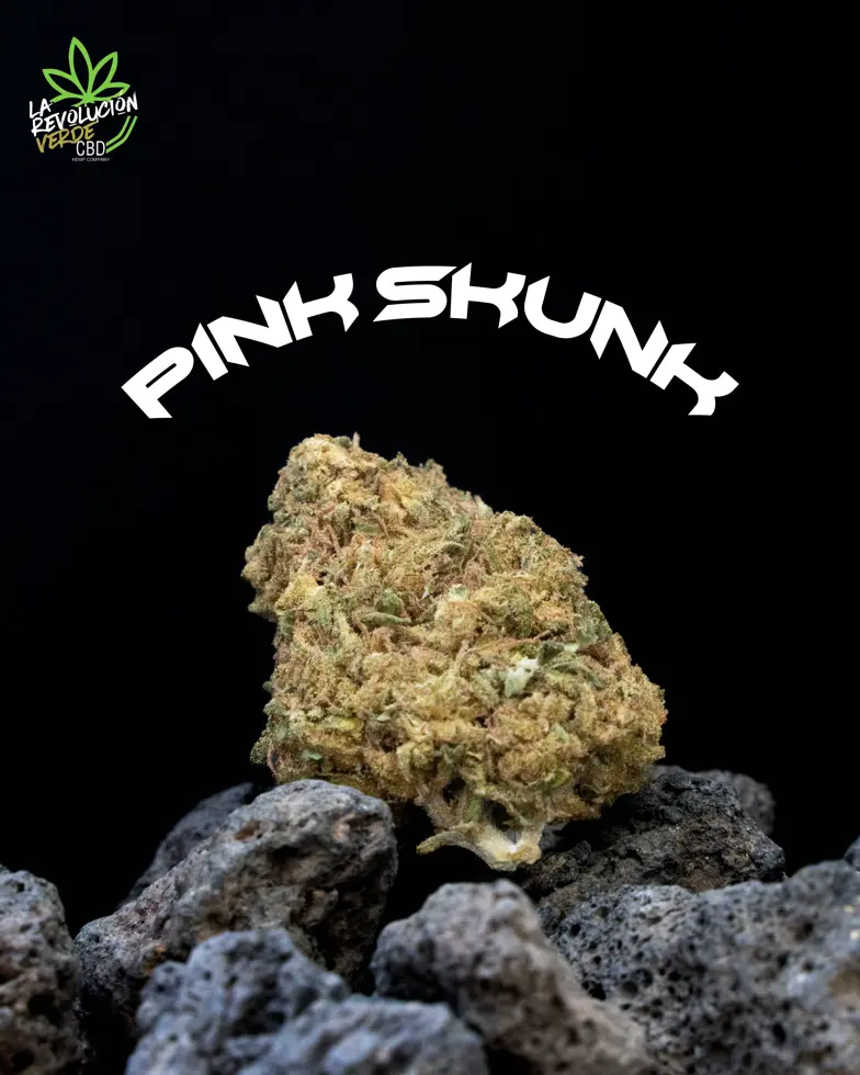 Pink Skunk