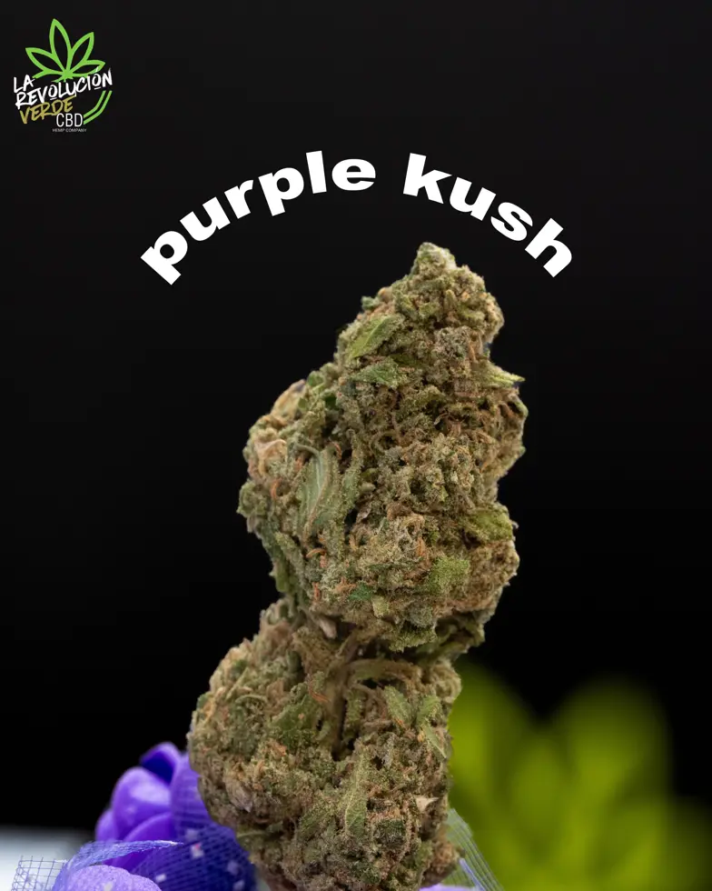 Purple Kush